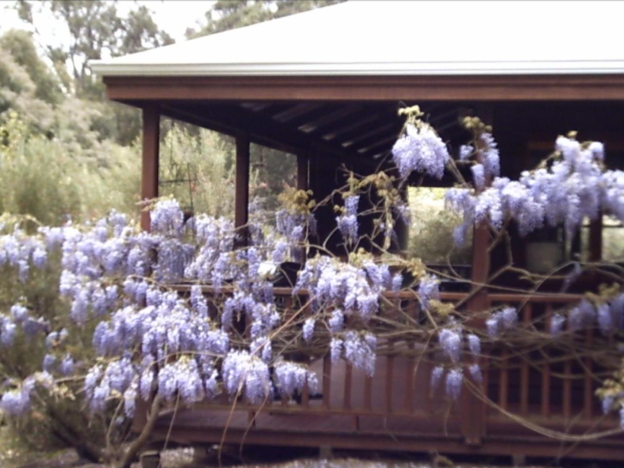 Redgum Hill Country Retreat Hostal Balingup Exterior foto